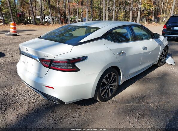 1N4AA6CV0PC511623 2023 NISSAN MAXIMA White Tył prawy