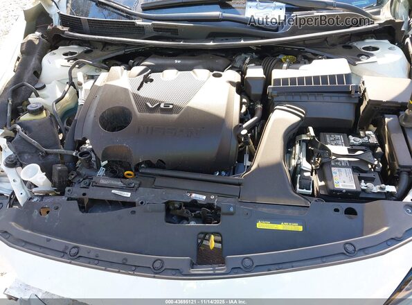 1N4AA6CV0PC511623 2023 NISSAN MAXIMA White Widok z tyłu