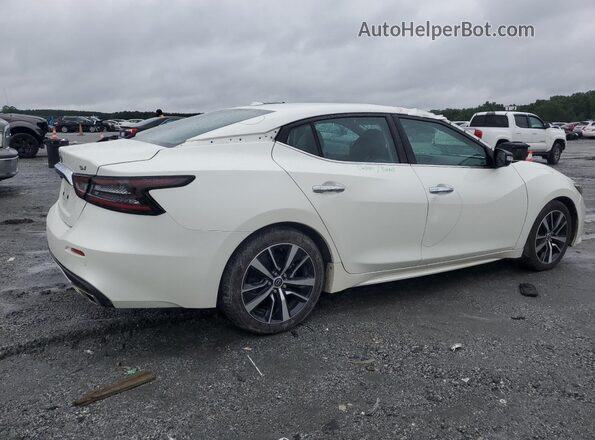 1N4AA6CV6PC511254 2023 NISSAN MAXIMA Белый Задняя правая четверть