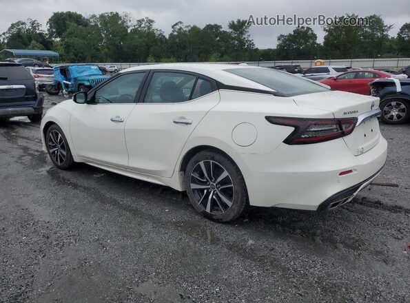 1N4AA6CV6PC511254 2023 NISSAN MAXIMA Белый Задняя левая четверть