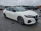 2023 Nissan Maxima Sv Белый vin: 1N4AA6CV6PC511254