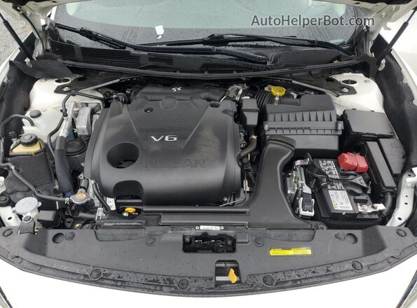 1N4AA6CV6PC511254 2023 NISSAN MAXIMA Белый Вид задней части салона