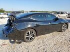 2023 Nissan Maxima Sv Black vin: 1N4AA6CV7PC511585
