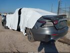 2020 Nissan Maxima Sl Xtronic Cvt Gray vin: 1N4AA6DV6LC367357