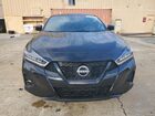 2023 Nissan Maxima Sr Черный vin: 1N4AA6EV2PC507246