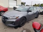 2023 Nissan Maxima Sr Gray vin: 1N4AA6EV6PC506892