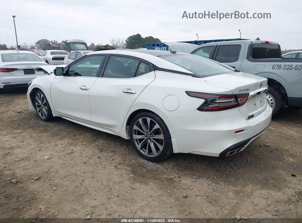 1N4AA6FV8PC501000 2023 NISSAN MAXIMA PLATINUM Белый Задняя левая четверть