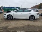 2023 Nissan Maxima Platinum Xtronic Cvt Белый vin: 1N4AA6FV8PC501000