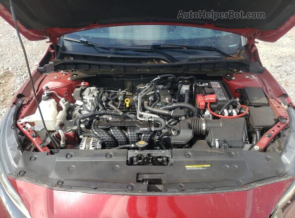 1N4BL4CV4PN320388 2023 NISSAN ALTIMA Красный Вид задней части салона