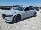 2020 Dodge Charger Sxt Gray vin: 2C3CDXBG9LH195864