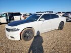 2018 Dodge Charger Sxt Plus Белый vin: 2C3CDXHGXJH166796