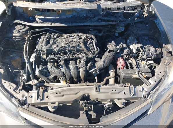 2T1BURHE4JC022124 2018 TOYOTA LL Коричневый Вид сзади