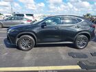 2023 Lexus Nx 250   Черный vin: 2T2ADCAZ2PC005588