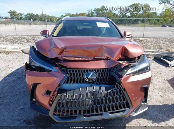2T2ADCAZ4SC026581 2025 LEXUS NX 250 Orange Widok zestawu wskaźników