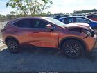 2025 Lexus Nx 250   Orange vin: 2T2ADCAZ4SC026581