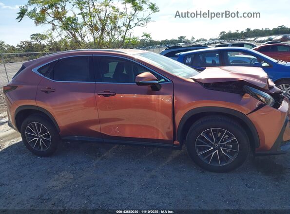 2T2ADCAZ4SC026581 2025 LEXUS NX 250 Orange Widok wnętrza z tyłu