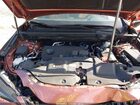 2025 Lexus Nx 250   Orange vin: 2T2ADCAZ4SC026581