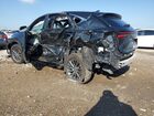 2024 Lexus Nx 250 Base Черный vin: 2T2ADCAZ6RC012921