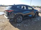 2024 Lexus Nx 250 Base Черный vin: 2T2ADCAZ6RC012921