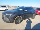2025 Lexus Nx 250   Gray vin: 2T2ADCAZ6SC020989