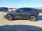 2025 Lexus Nx 250   Gray vin: 2T2ADCAZ6SC020989