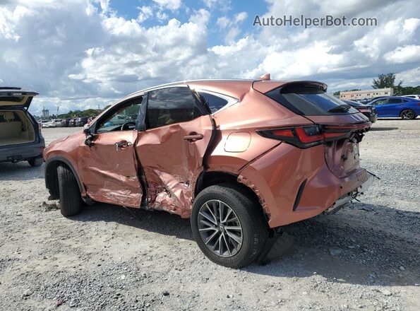 2T2ADCAZ8SC022548 2025 LEXUS NX Tan უკანა მარცხენა
