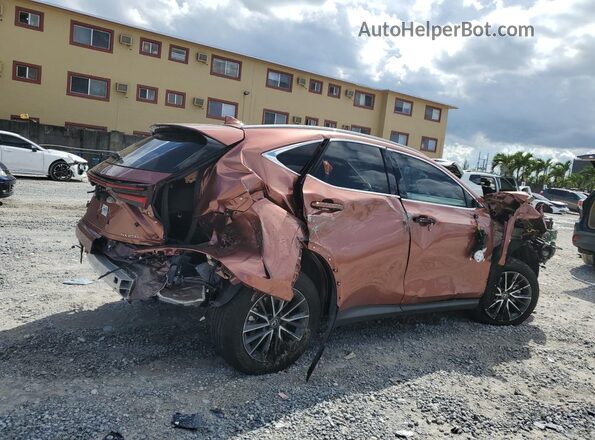 2T2ADCAZ8SC022548 2025 LEXUS NX Tan უკანა მარჯვენა