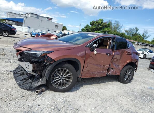 2T2ADCAZ8SC022548 2025 LEXUS NX Tan წინა მარცხენა ხედი სამი მეოთხედიდან