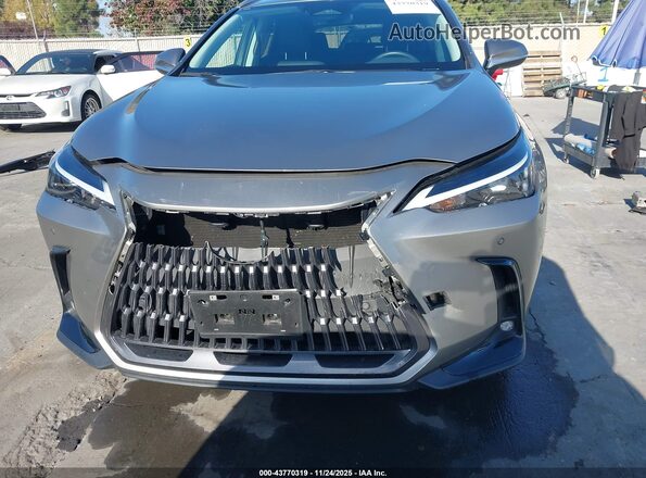 2T2ADCAZ9SC018329 2025 LEXUS NX 250 Серый Вид задней части салона
