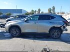 2025 Lexus Nx 250   Серый vin: 2T2ADCAZ9SC018329