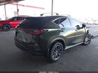 2024 Lexus Nx 350   Зеленый vin: 2T2AGCEZ3RC035431