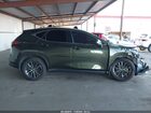 2024 Lexus Nx 350   Зеленый vin: 2T2AGCEZ3RC035431