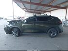 2024 Lexus Nx 350   Зеленый vin: 2T2AGCEZ3RC035431