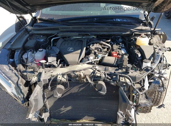 2T2BAMCA2SC093741 2025 LEXUS RX 350 Black Հետևի տեսք