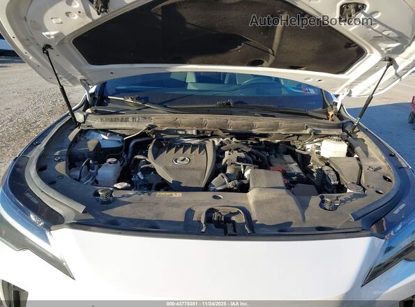 2T2BAMCA4PC003318 2023 LEXUS RX 350 White Вид ззаду