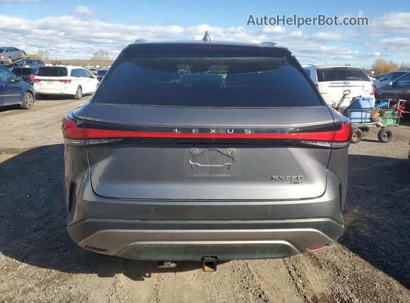 2T2BAMCA6PC014823 2023 LEXUS RX Gray Widok z tyłu