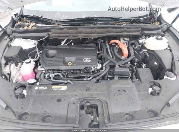 2T2BBMCA5PC021081 2023 LEXUS RX 350H Белый Вид сзади