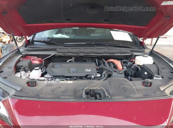 2T2BBMCA9SC078991 2025 LEXUS RX 350H Красный Вид сзади