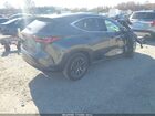 2023 Lexus Nx 250 Premium Серый vin: 2T2GDCAZ1PC003860