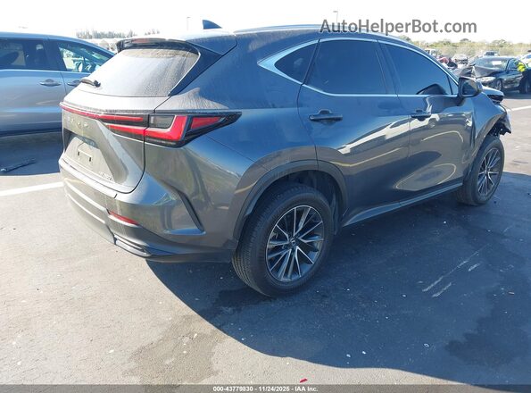 2T2GDCAZ1SC018920 2025 LEXUS NX 250 Gray Հետևի աջ
