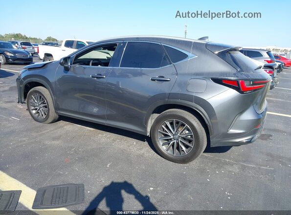 2T2GDCAZ1SC018920 2025 LEXUS NX 250 Gray Հետևի ձախ