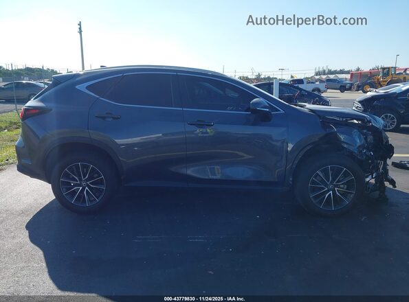 2T2GDCAZ1SC018920 2025 LEXUS NX 250 Gray Սալոնի 360 աստիճան տեսք
