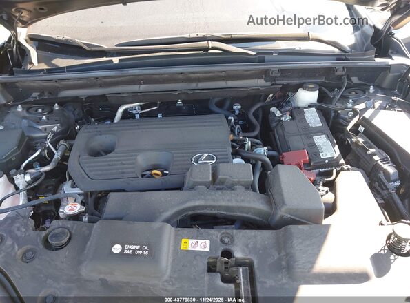 2T2GDCAZ1SC018920 2025 LEXUS NX 250 Gray Հետևի տեսք