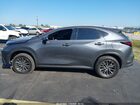 2025 Lexus Nx 250 Premium Gray vin: 2T2GDCAZ1SC018920