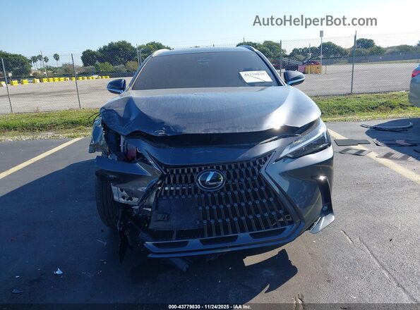 2T2GDCAZ1SC018920 2025 LEXUS NX 250 Gray Սալոնի հետևի տեսք