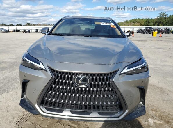 2T2GDCAZ2SC018358 2025 LEXUS NX Gray Vista frontal