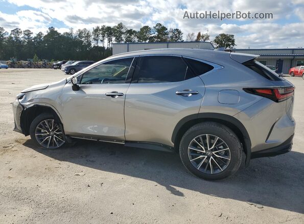2T2GDCAZ2SC018358 2025 LEXUS NX Gray Trasero izquierdo