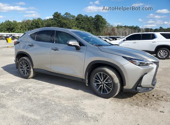 2T2GDCAZ2SC018358 2025 LEXUS NX Gray Delantero derecho