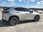 2025 Lexus Nx 250 Premium Gray vin: 2T2GDCAZ2SC018358