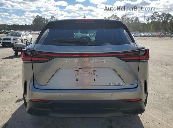 2T2GDCAZ2SC018358 2025 LEXUS NX Gray Vista trasera